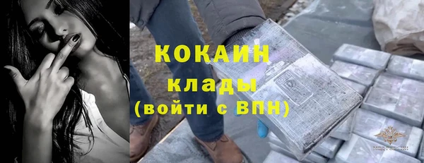 индика Абинск