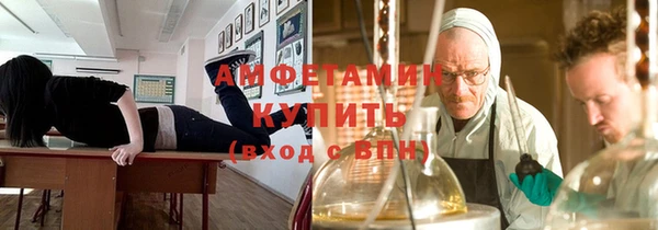 шишки Алексин