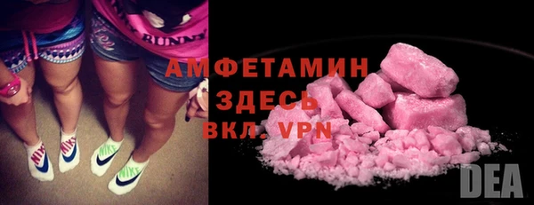 индика Абинск