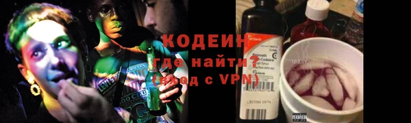 индика Абинск