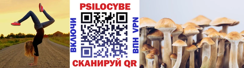 Псилоцибиновые грибы Psilocybine cubensis  где продают наркотики  Советск 
